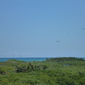 Isla Contoy