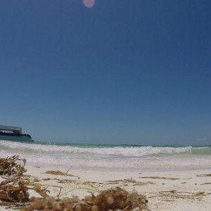 Isla Contoy