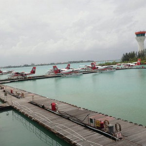 P6090014