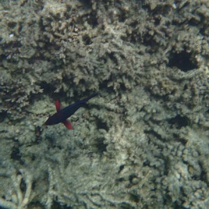 P6100192