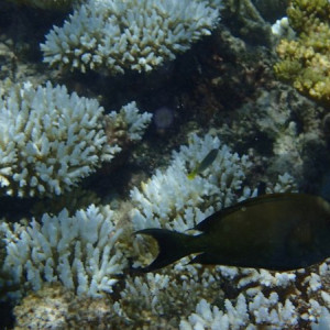 P6110141