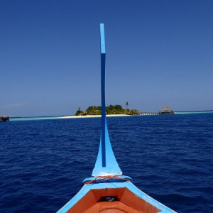 P6110343