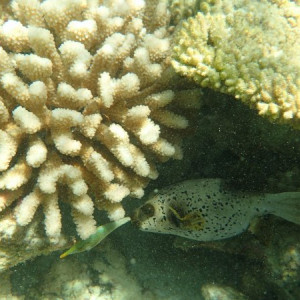 P6110478
