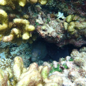 P6130285