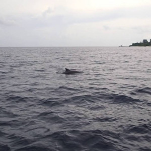 P6130587 - YouTube