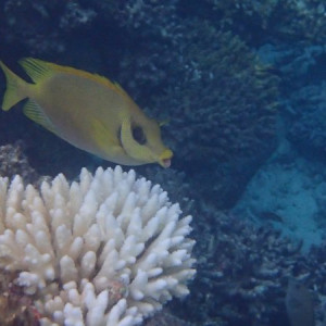 P6130394