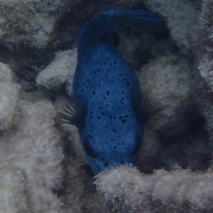 P6130404