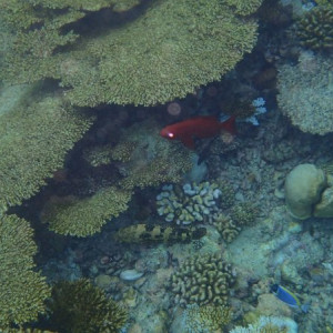 P6130649
