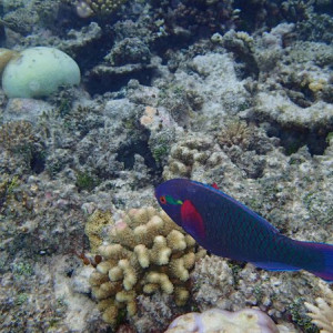 P6140454