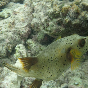 P6140786