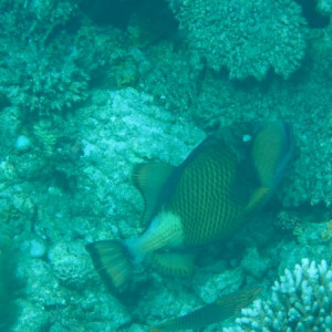 P6150959
