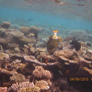 Maldivas 2010 325