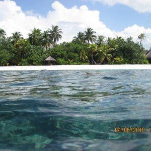 Maldivas 2010 331