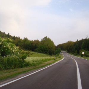 DSC03029