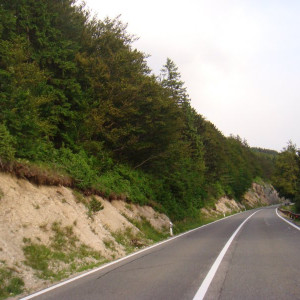 DSC03030