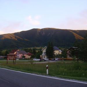 DSC03204