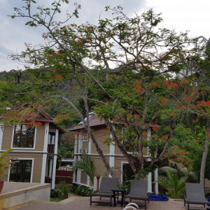 Coral Redang Island Resort