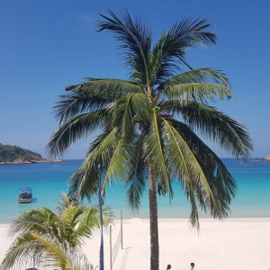 Vista do Restaurante do hotel Coral Redang