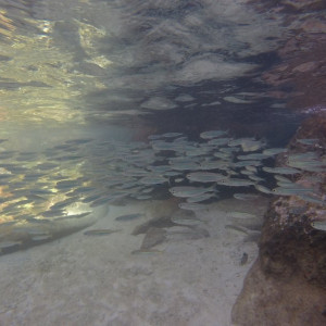 G0474859