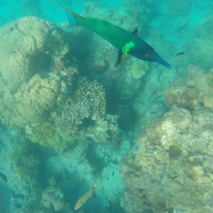 G0514952