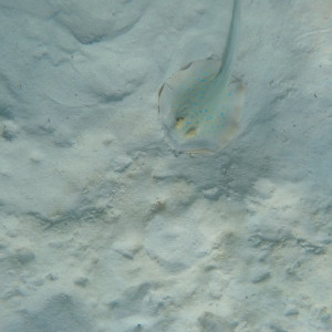 G0534980