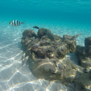 Coral Perhentian