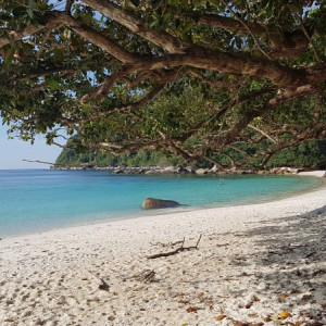 Turtle Beach Perhentian