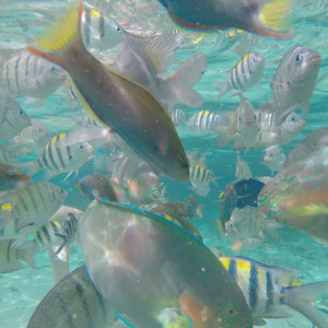 Peixinhos Rawa Beach
