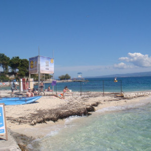 DSC03361