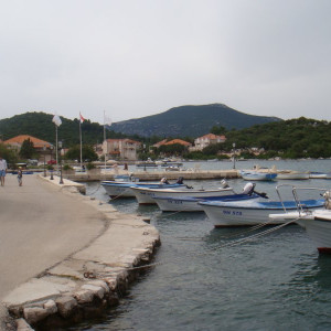 DSC03498