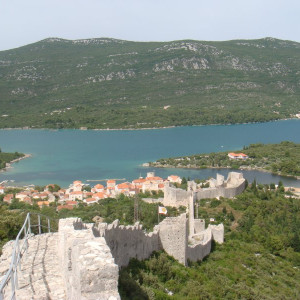 DSC03509