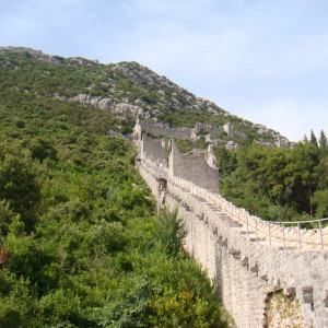 DSC03517