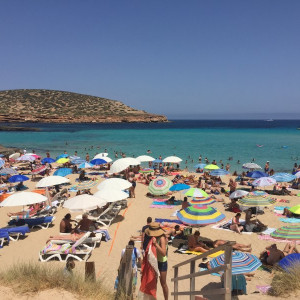 Cala Comte_9