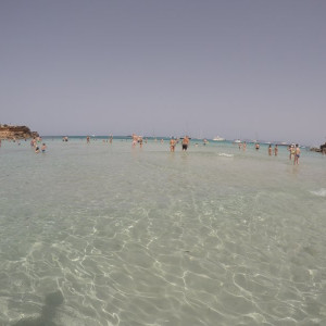 Saona_2