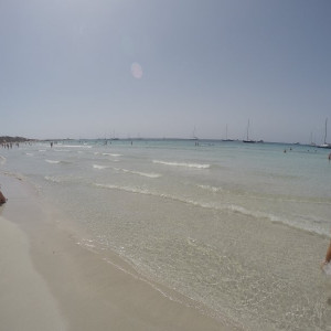 Salinas_1
