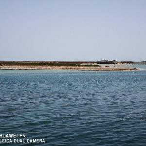ilha á vista!