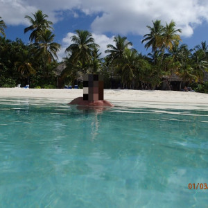 Praia (5)