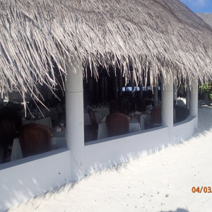 Rest (6)