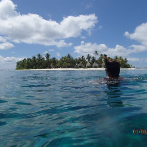 Snork (2)