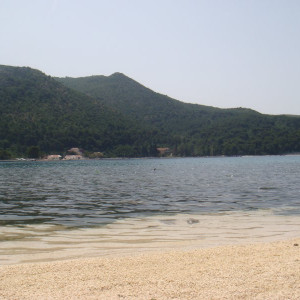 DSC03545