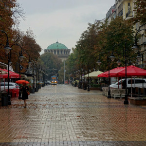 Sofia 7