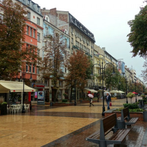 Sofia 8