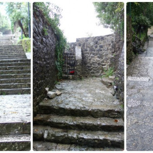 Montenegro 6