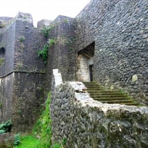Montenegro 7