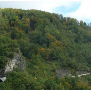 Montenegro 51