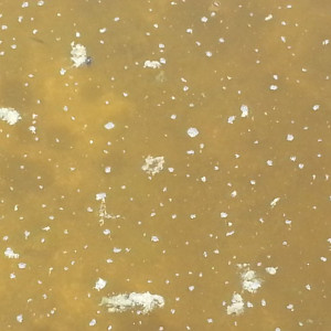 20160612_141540