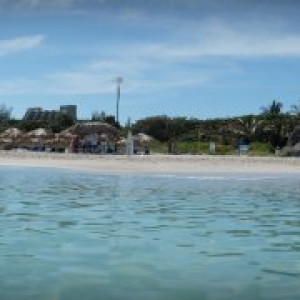 55
