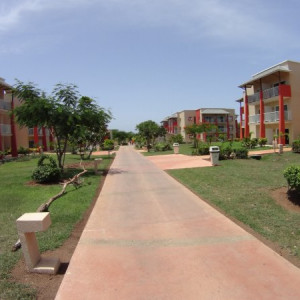 DSC01073