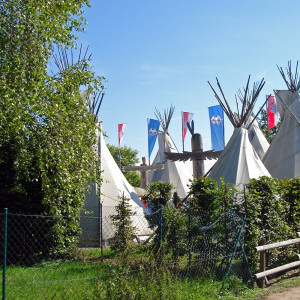 DSC03334