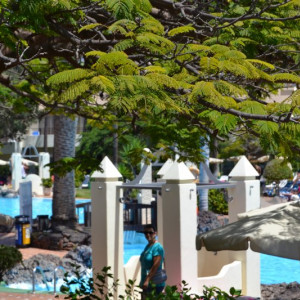 Piscina do hotel H10 Las Palmeras